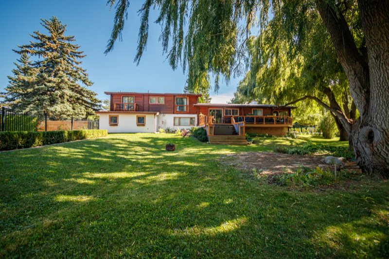 Shady Backyard Views